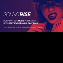 SoundRise – Artists, Producers and Record Labels Theme