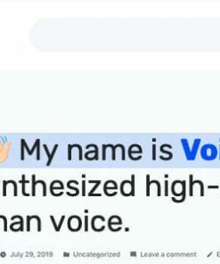 Voicer – Text to Speech Plugin for WordPress