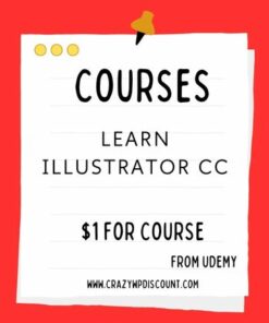 Learn Illustrator CC Course