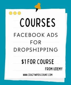 Facebook ads for Dropshipping Course