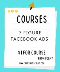 7 FIGURE Facebook Ads Course