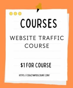 Website Traffic Course