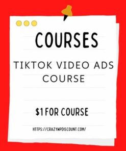 TikTok Video Ads course