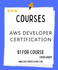 AWS Developer Certification Course