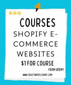 Shopify E-Commerce Websites Course