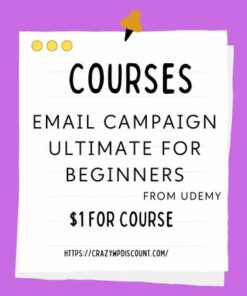 Email Campaign Ultimate For Beginners