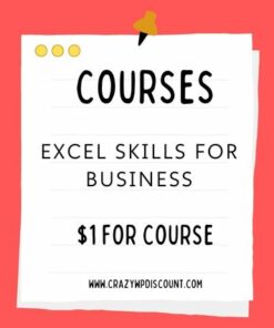 Excel Skills for Business Course