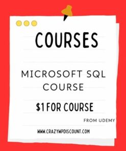 Microsoft SQL Course