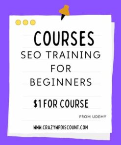 SEO Training for Beginners