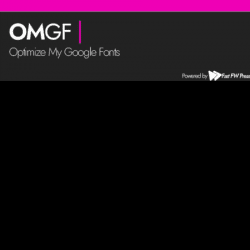 OMGF PRO – Speed ​​up Google Fonts, the Right Way